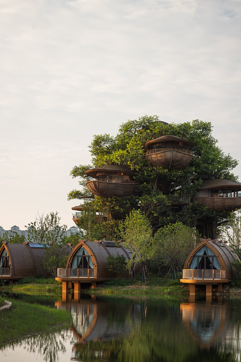 国际认可！武汉城建开元森泊度假乐园斩获2025伦敦设计奖铂金奖